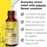 Bach Remedy Dropper (10мл)