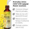 Bach Remedy Dropper (20мл)